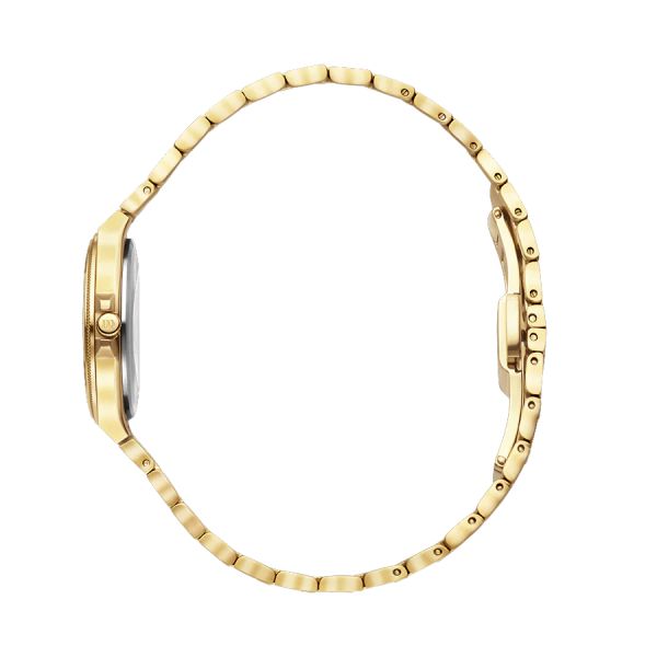 Danish Design Armbanduhr DKx Pro Gold Husky Hazel S IV87Q1303 NEU