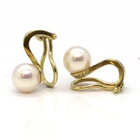 Akoya Perlohrclips Clips 585er Gelbgold (6550) Akoya Perlohrclips Clips 585er Gelbgold (6550)